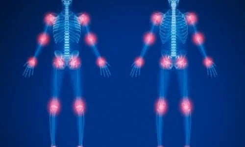 How to Naturally Increase Cartilage in Your Joints