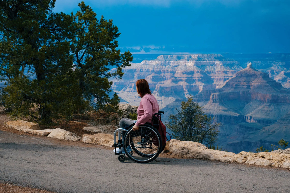 Person in a wheelchair overlooking the Grand Canyon