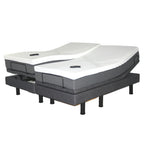 Golden Passport Hi-Low Adjustable Bed