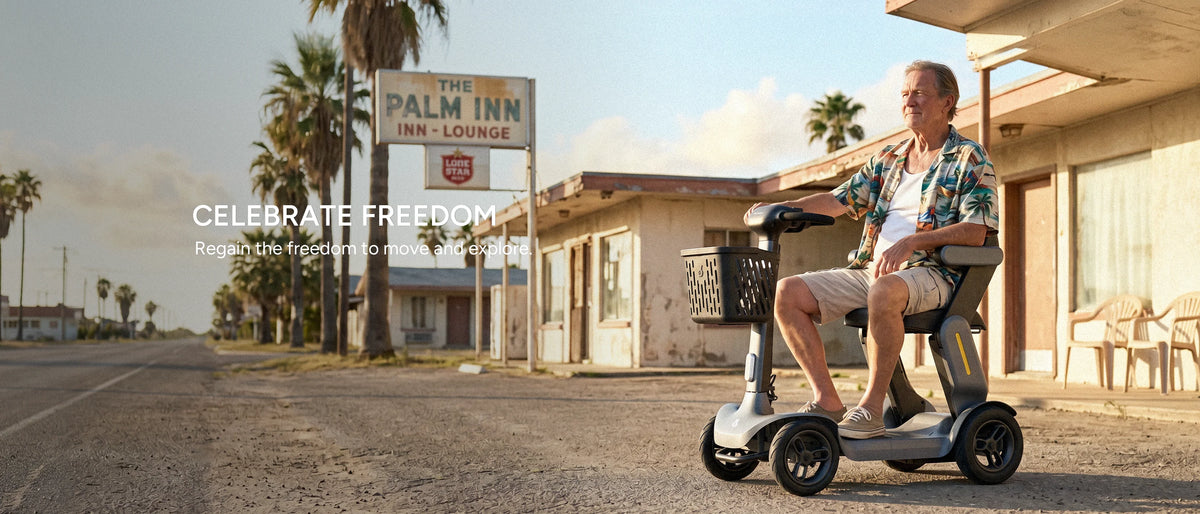 PAISEEC S3 - Mobility Scooter